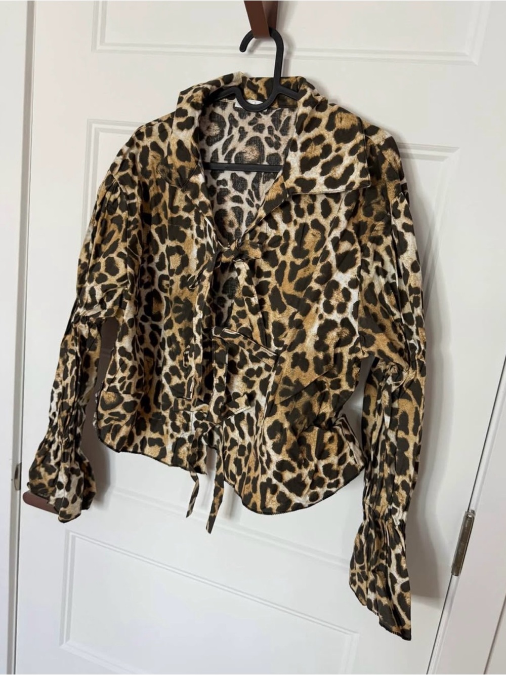 Leopard Print Button-Front Blouse - Brown & Black